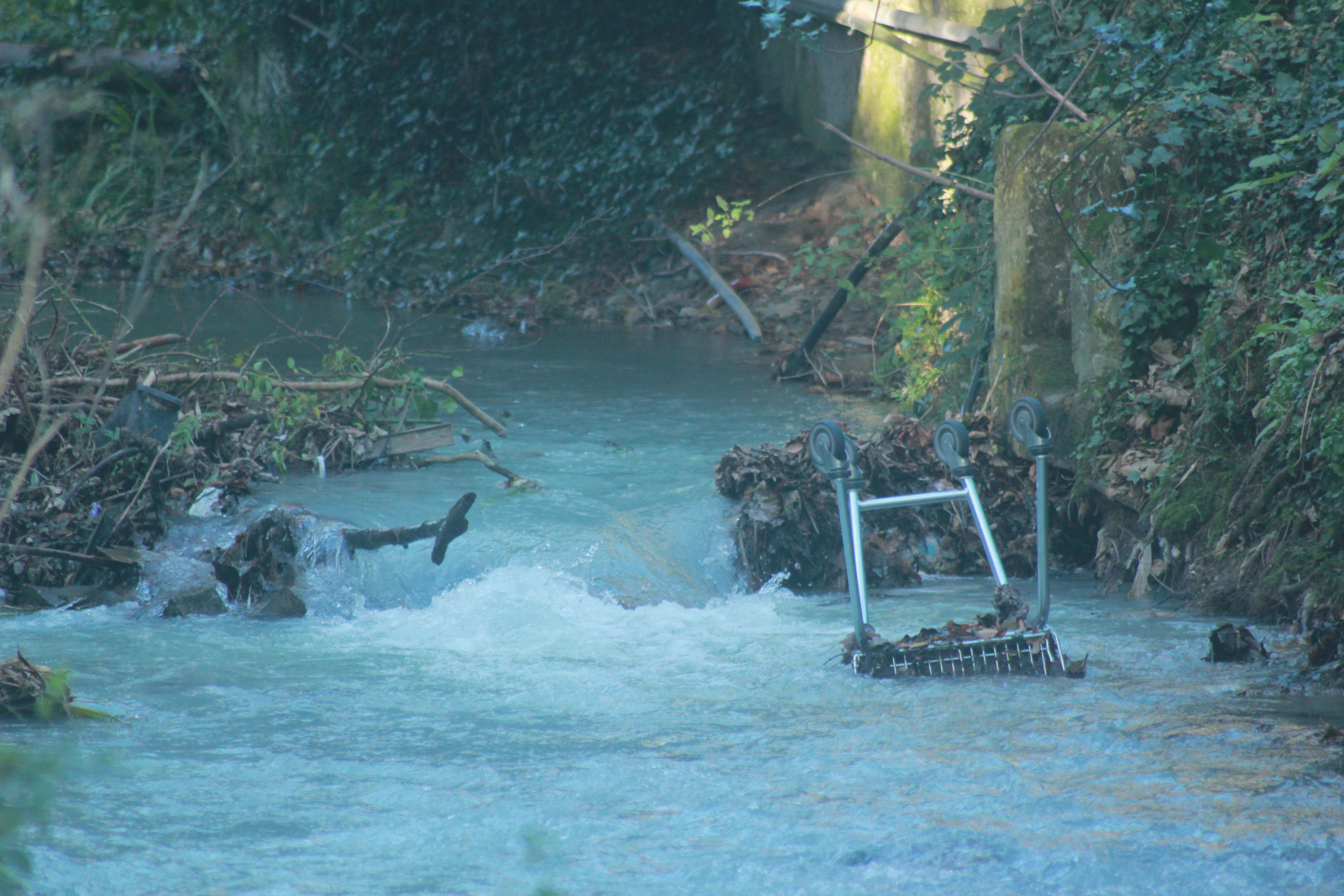 Shopping trolley shoot 2 014-001